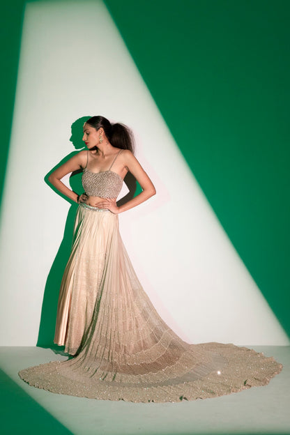 Trail engagement lehenga set