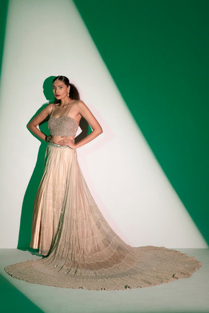 Trail engagement lehenga set